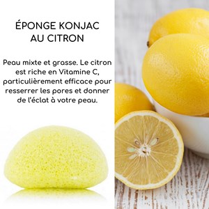 Eponge konjac au citron