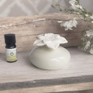 Diffuseur par capilarité narcisse blanc