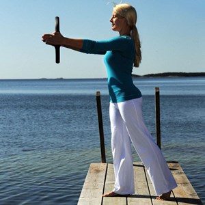 Pilates circle sissel