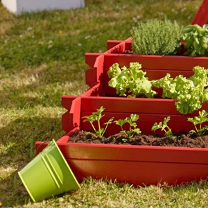 Carré potager en bois traité angelic