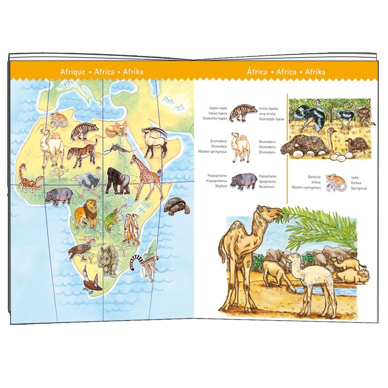 Djeco - Puzzle observation 100pcs +5y animaux du