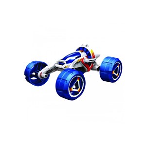 Buggy a eau salee / bob cat