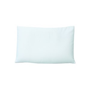 Oreiller sarrasin bio