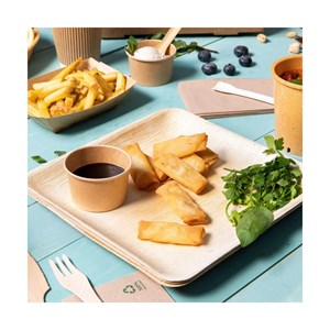 Lot de 25 assiettes en palmier carrée 24