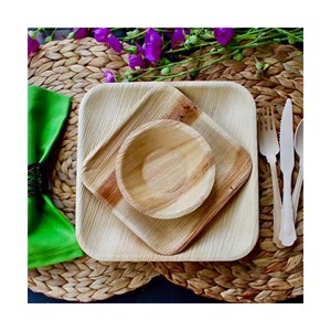 Lot de 25 assiettes en palmier carrée 24