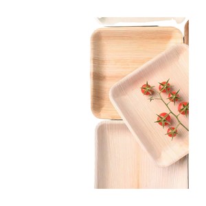Lot de 25 assiettes en palmier carrée 24