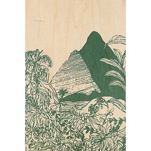 Carte postale bois jungle