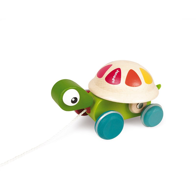 Tortue zigolo à promener