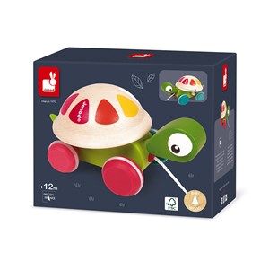 Tortue zigolo à promener