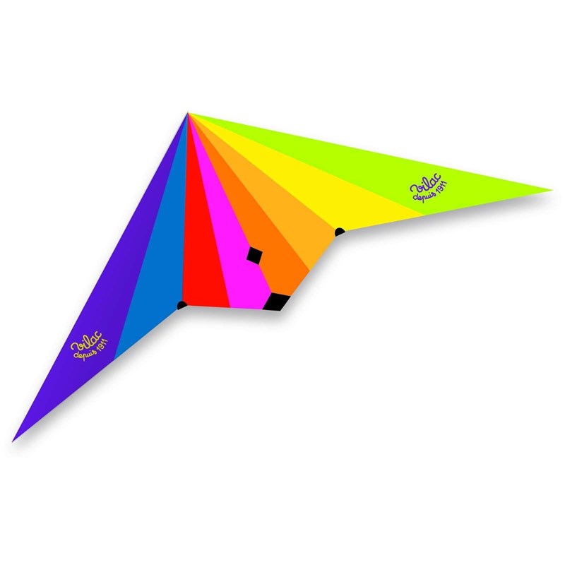 Cerf-volant delta avec double poignée