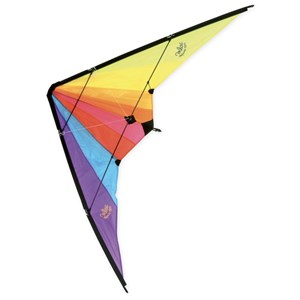 Cerf-volant delta avec double poignée