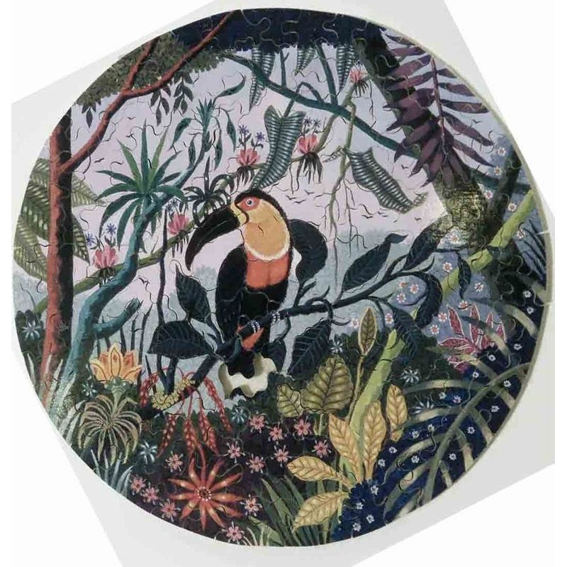Toucan ariel