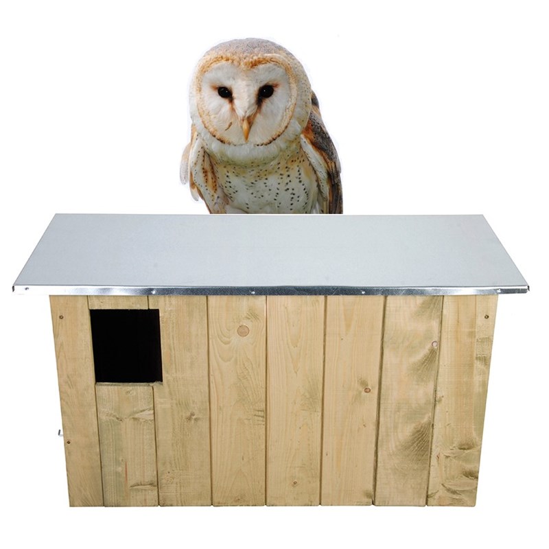Nichoir chouette effraie