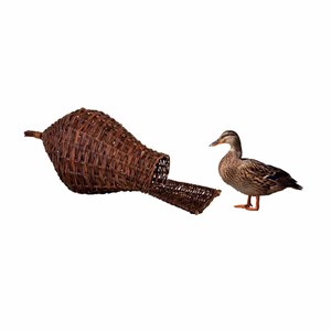 Nichoir canards
