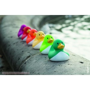 Pêche à la ligne canard pour le bain