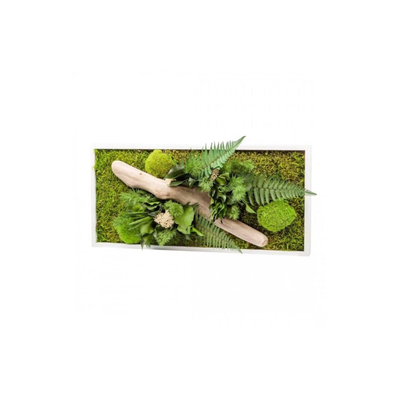 Naturalys - Tableau végétal gamme nature Rectangle