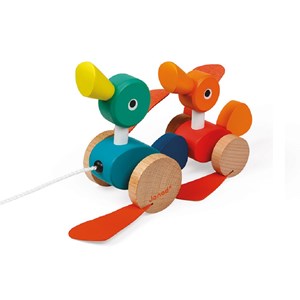 Duck family à promener