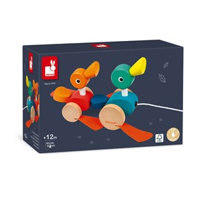 Duck family à promener