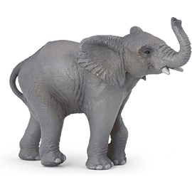 Jeune éléphant