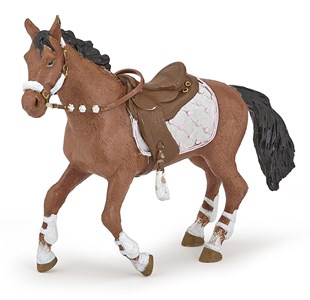 Cheval de la cavalière fashion hiver