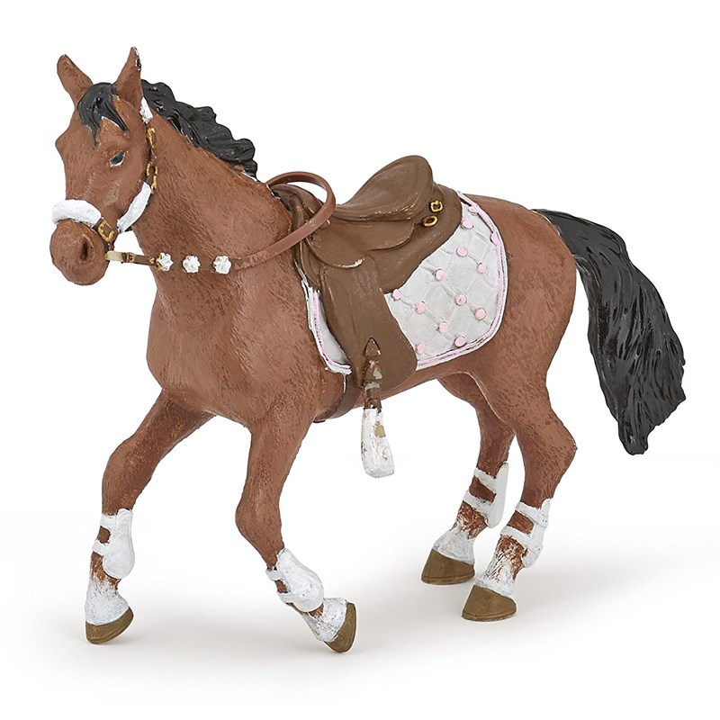 Cheval de la cavalière fashion hiver