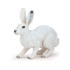 Lièvre polaire
