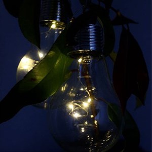 Lot de 2 ampoules solaires décoratives