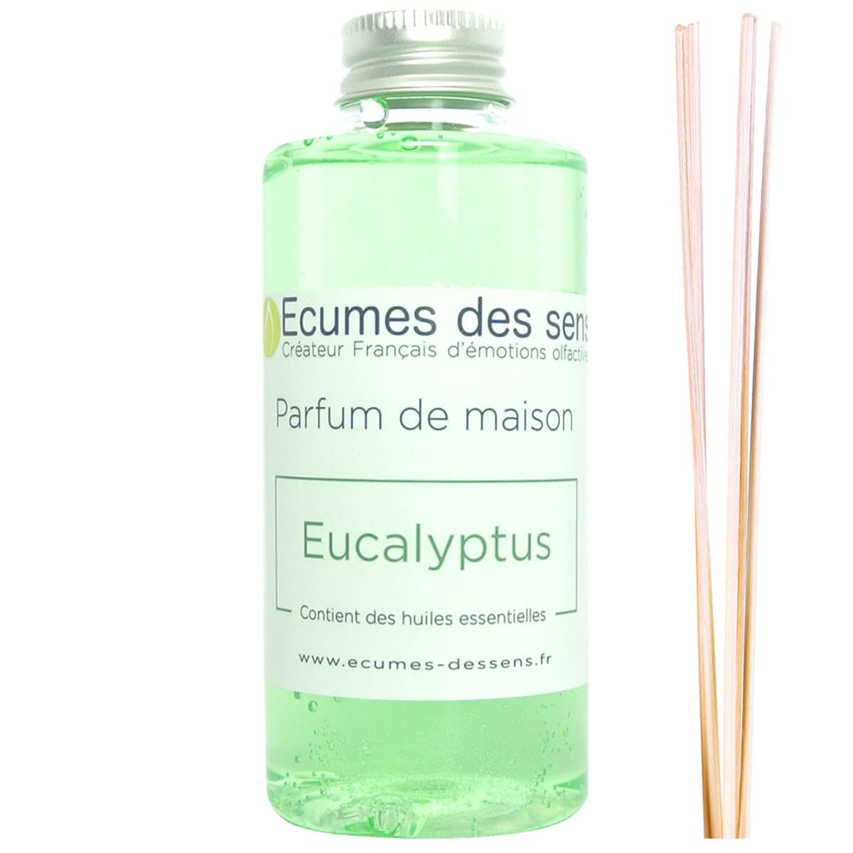 senteur eucalyptus