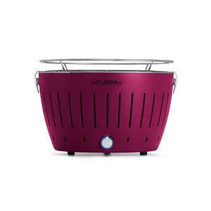 Lotusgrill barbecue de table grill au ch