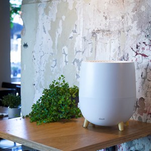 Humidificateur ovi duux