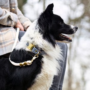 Collier le marinière - taille s