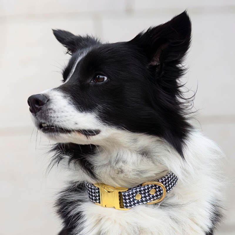 Collier le pied-de-poule - taille s