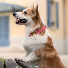 Collier le petits-coeurs - taille s