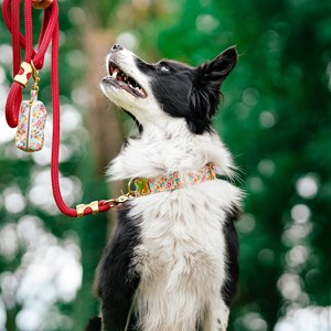 Collier le fleuri - taille s