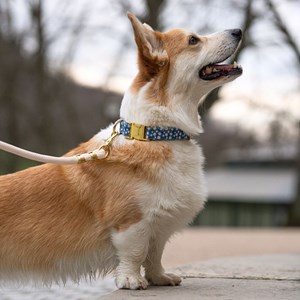 Collier le marguerite - taille m