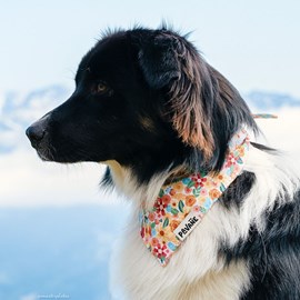 Bandana le fleuri - taille m