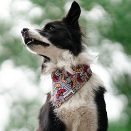 Bandana le wax rouge - taille l