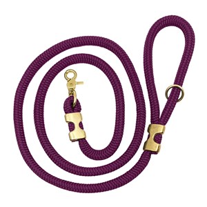 Laisse aubergine