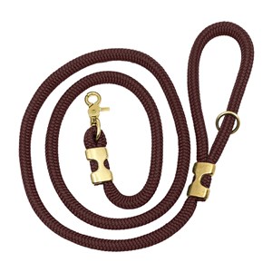 Laisse marron