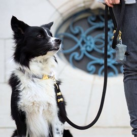 Kit le pied-de-poule -  noir - taille s