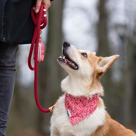 Kit le petits-coeurs -  rouge - taille m