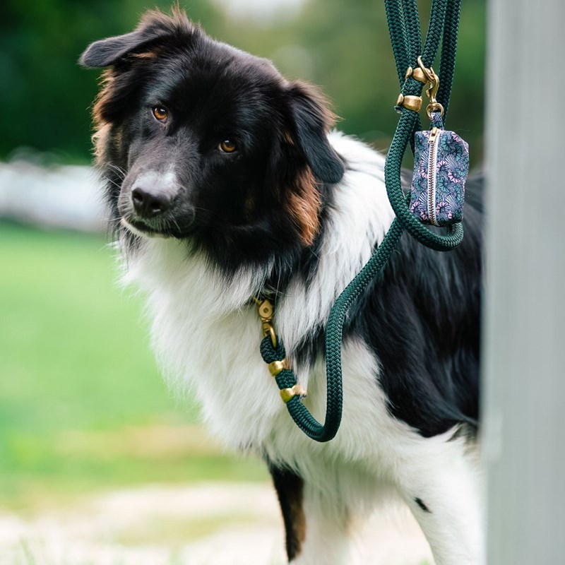 Pavane - Kit le wax rose -  vert - taille m