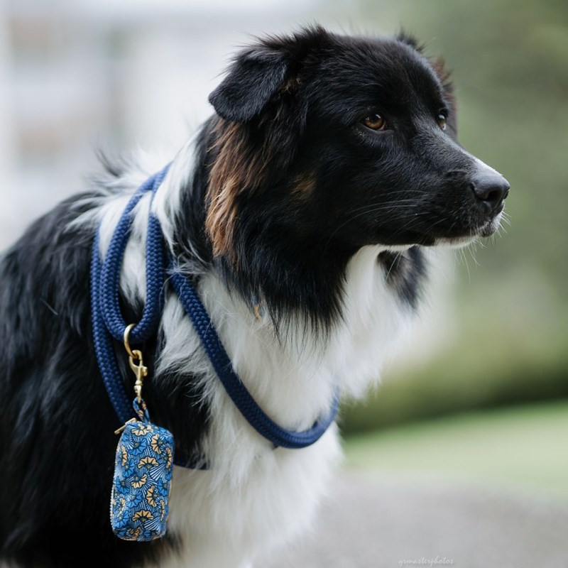 Kit le wax bleu - bleu - taille l