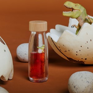 Bouteille sensorielle move t-rex