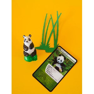 Coffret moulage panda géant