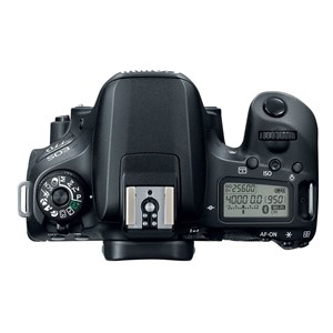 Eos 77d + 18-55 is stm + sigma 70-300 dg