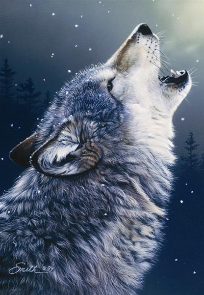 Tête de loup - puzzle 500 pcs | Nature & Découvertes