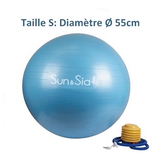 Ballon de yoga taille s 55 cm - bleu