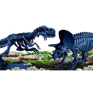 Le laboratoire de la paleonthologie