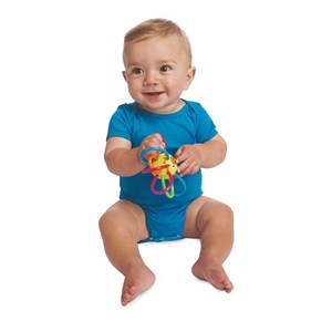 Hochet winkels zoo lion